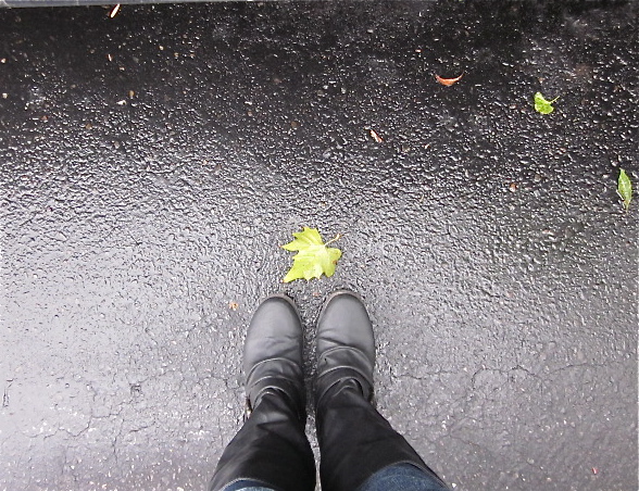 Fall Boots and Leaves