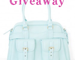 Jo Totes Camera Bag Giveaway