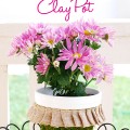moss covered clay pot