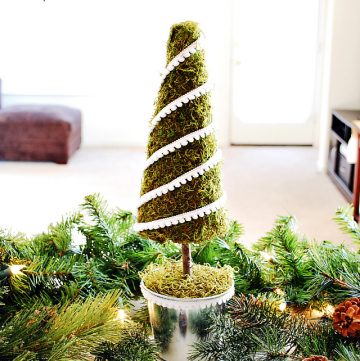 DIY Moss Christmas Tree