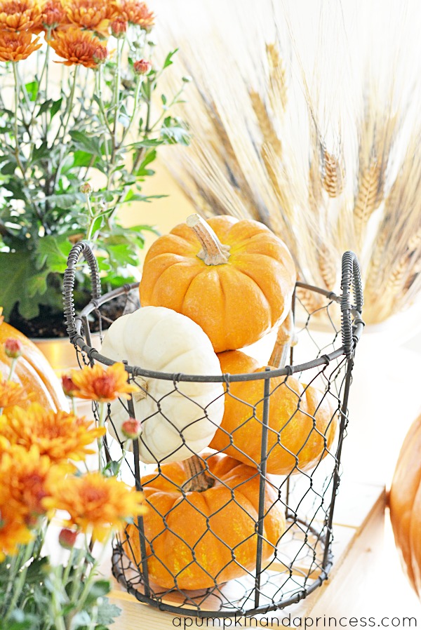 Decorating with pumpkins - fall tablescape