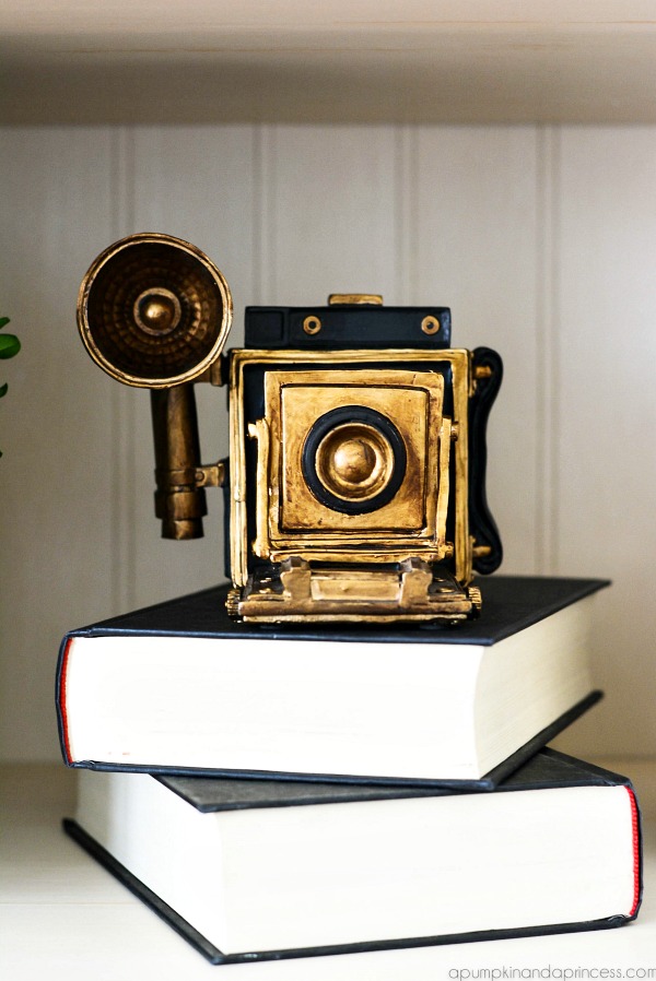 black and gold camera decoration