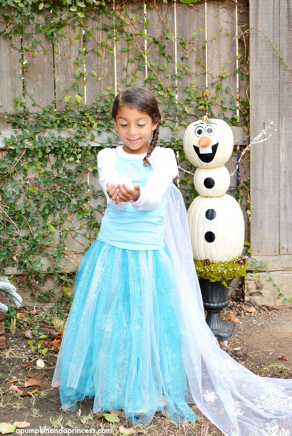 DIY Elsa Costume