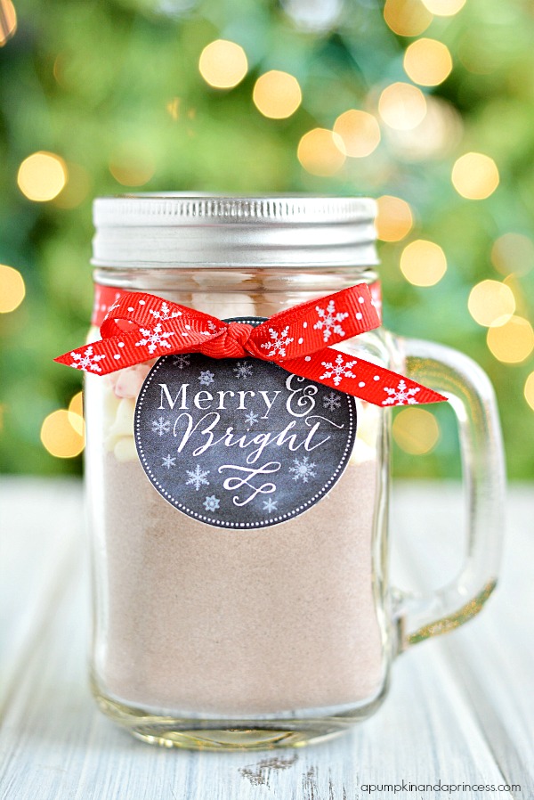 Hot Cocoa Gift - Mason Jar Mug