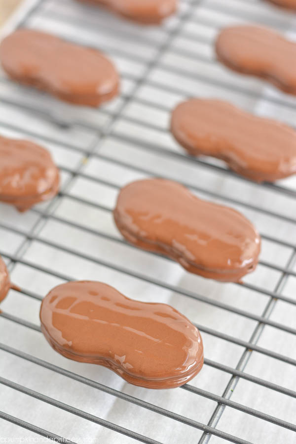 chocolate covered cookies