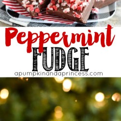 Peppermint Fudge Recipe - easy 5-ingredient peppermint fudge recipe.