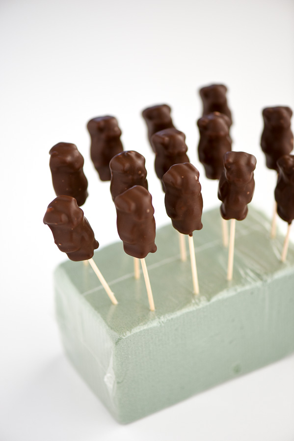 Chocolate Covererd Gummy Bears