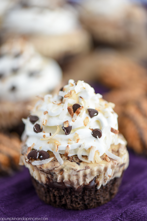 Samoas Ice Cream Cupcakes - satisfy your Girl Scout cookie cravings with this decadent ice cream cupcake recipe. Layers of chocolate cake, samoas ice cream, whipped topping, and toasted coconut.