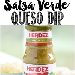 Salsa Verde Queso Dip - easy 3-ingredient salsa verde queso dip.
