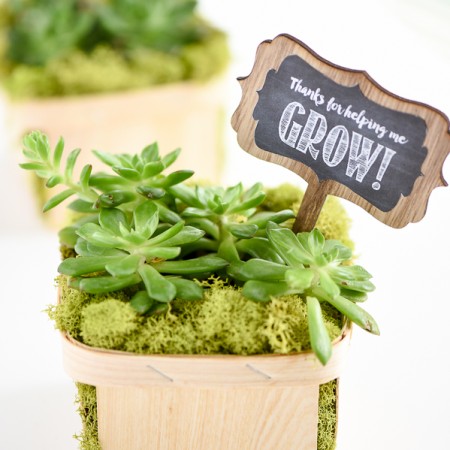Berry basket succulent gift - this easy DIY succulent gift makes a great Mother’s Day or teacher appreciation gift. FREE printable “Thanks for helping me grow!” tags.