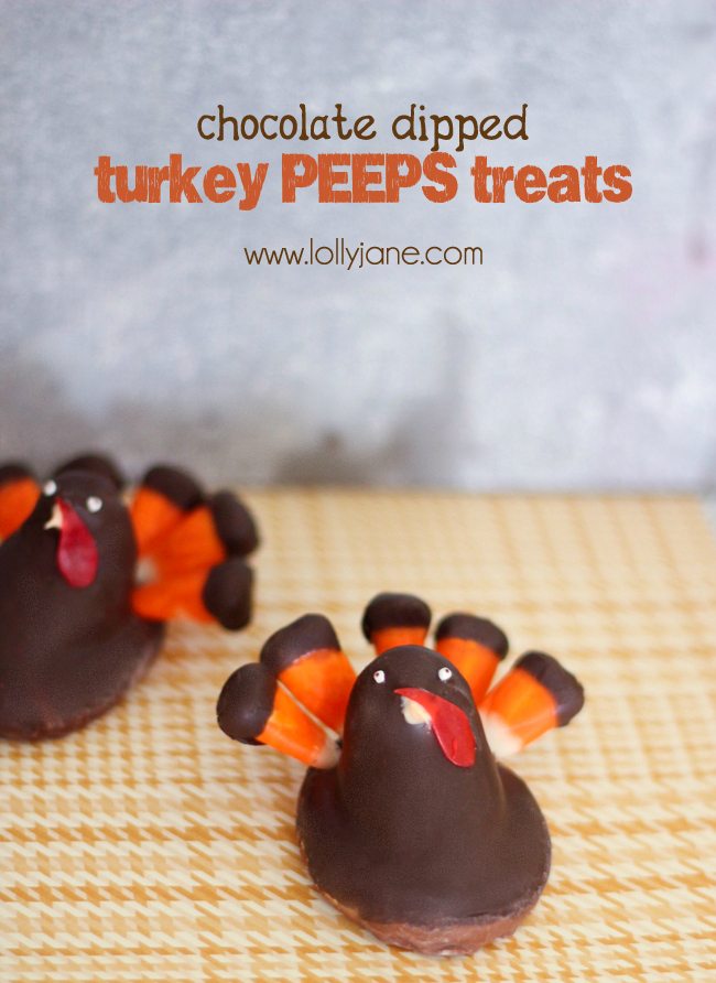 35+ Thanksgiving Ideas for Kids - Thanksgiving crafts, treats and party ideas for kids!