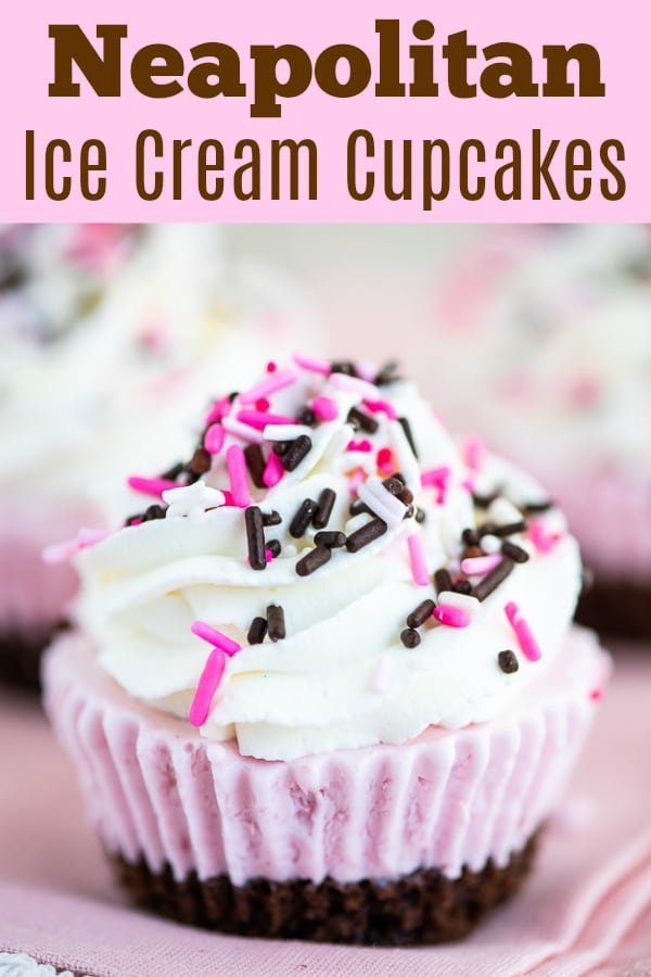Ice Cream Dessert Recipe