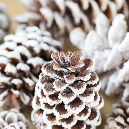 pine cones covered in real flocking powder - easy diy craft for Christmas