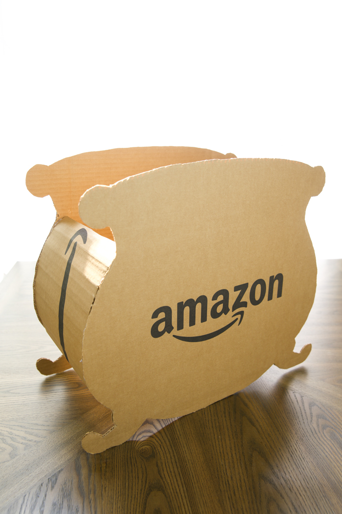 Cauldron Boxtume Using Amazon Prime Box - A Pumpkin And A Princess
