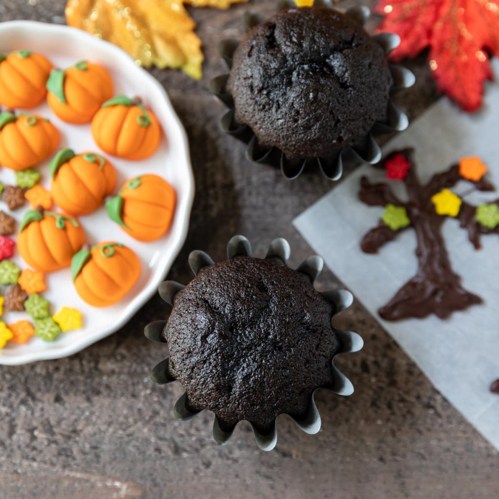 double chocolate fall cupcakes